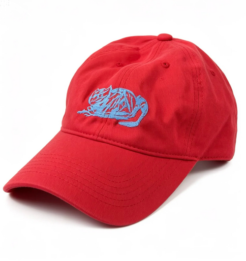 Gorro Gato