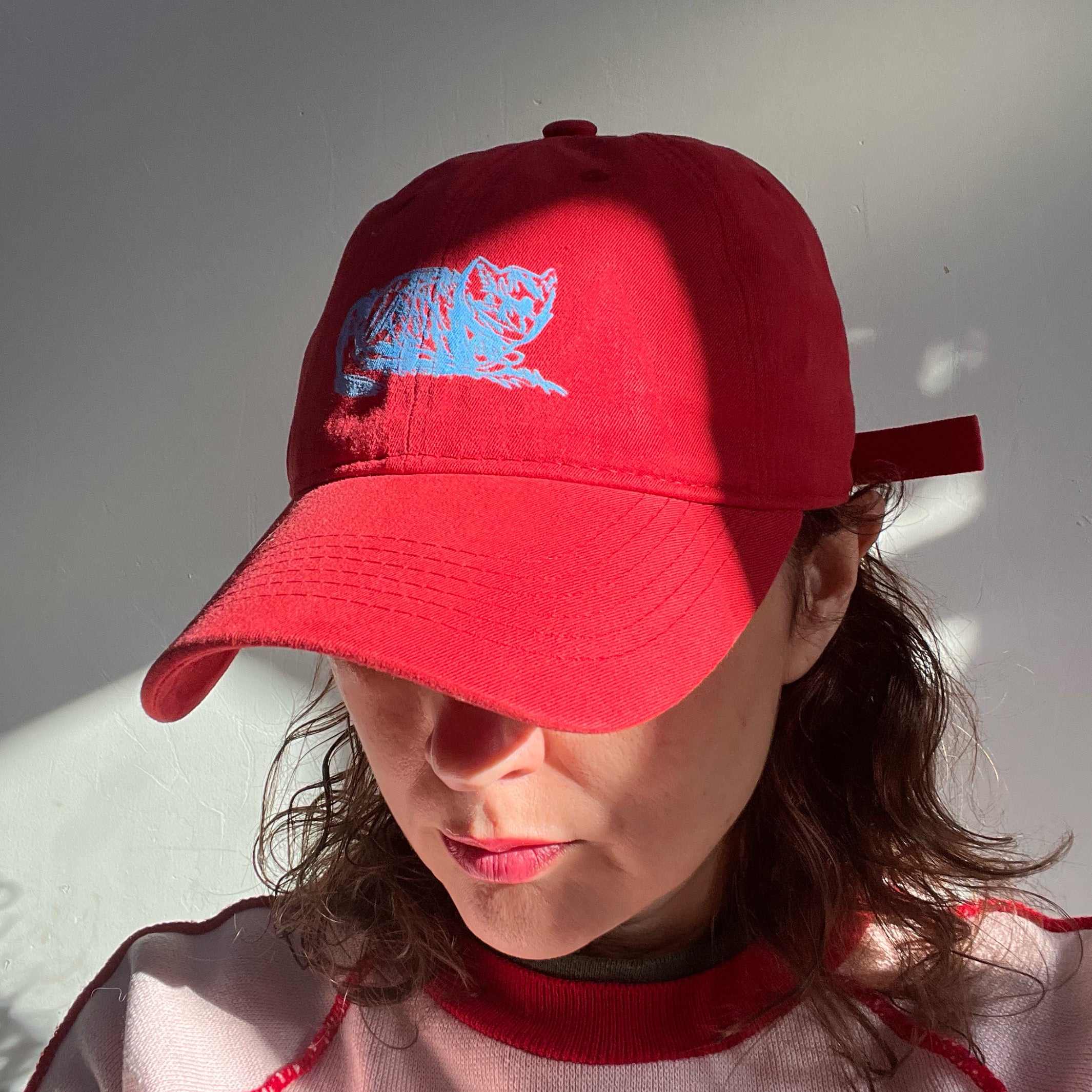 Gorro Gato